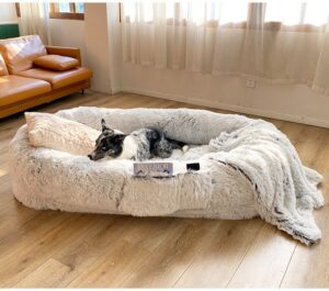 Pet Bed Series